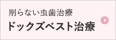 ドックズベスト治療